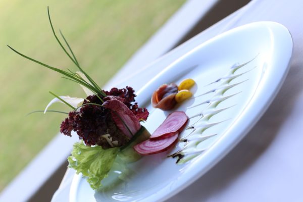 Vegetable bouquet is an inspired dish at Apollo Blue Hotel