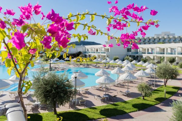 Bougainvilleas blooming at Apollo Blue with the swimming pool and sun loungers in the background