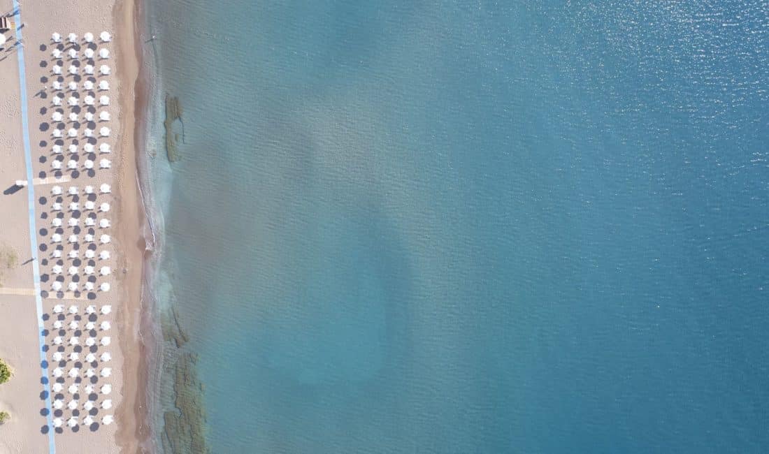 _sentidoapolloblue83_resized