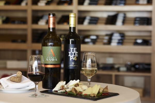 Finest Greek wine tasting with cheese pairing at Apollo Blue Hotel